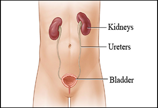 Neurognic Bladder